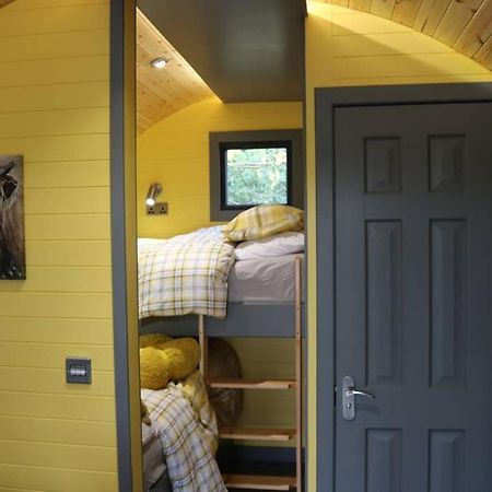 Glampods Glamping Pod - Meet Highland Cows And Sheep Elgin Villa Exteriör bild