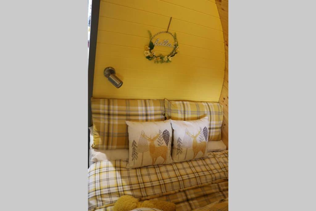 Glampods Glamping Pod - Meet Highland Cows And Sheep Elgin Villa Exteriör bild