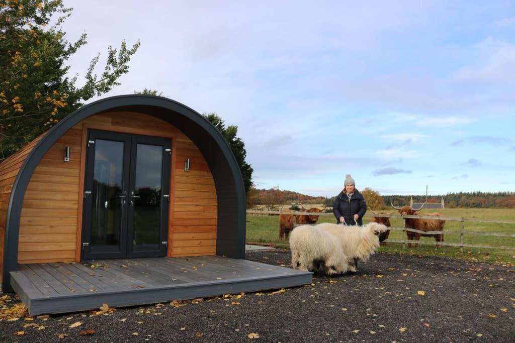 Glampods Glamping Pod - Meet Highland Cows And Sheep Elgin Villa Exteriör bild