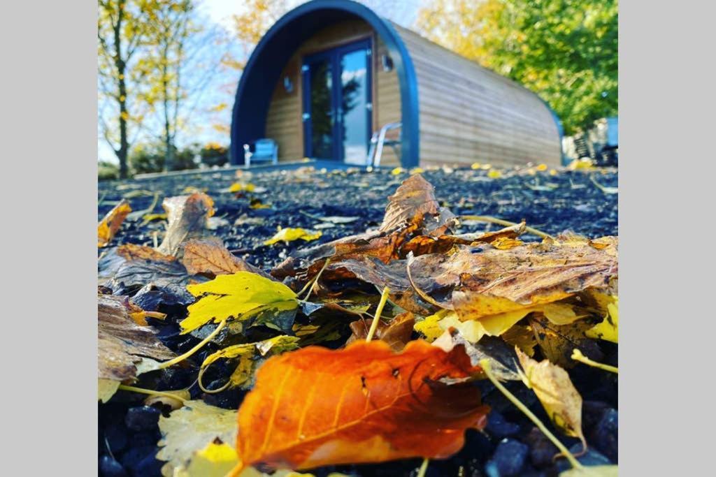 Glampods Glamping Pod - Meet Highland Cows And Sheep Elgin Villa Exteriör bild